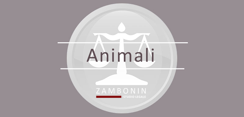 animali