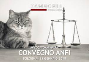 Convegno-Anfi