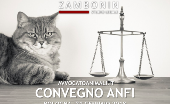 Convegno-Anfi