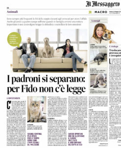 il messaggero maggio 2019
