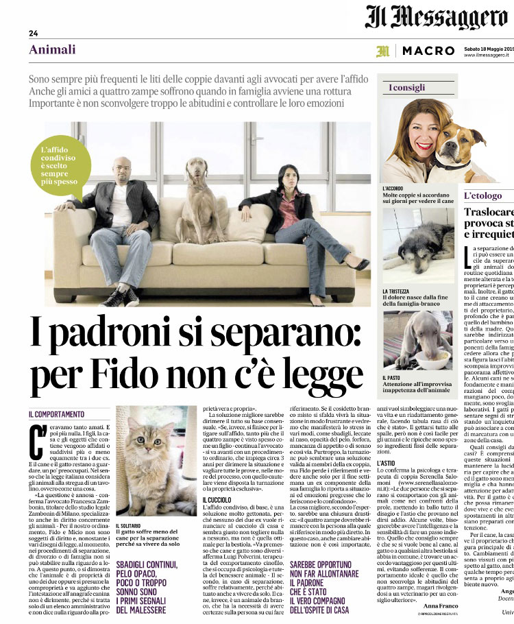 affido degli animali in caso di separazione